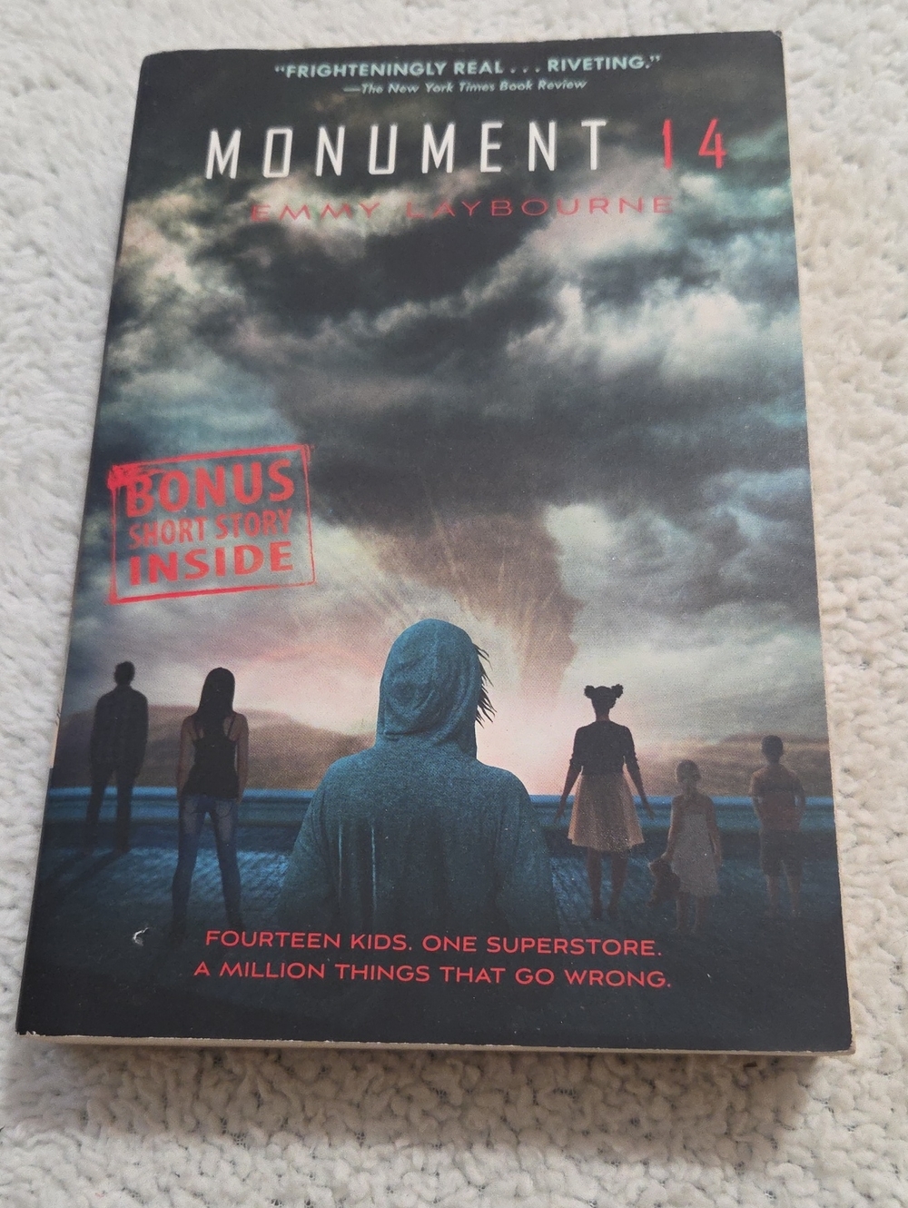 MONUMENT 14 BY EMMA LAYBOURNE